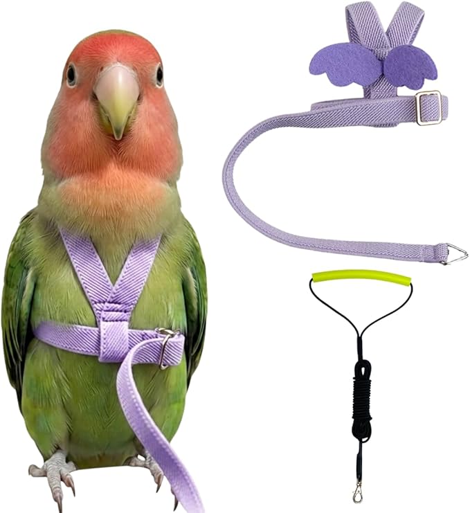 Adjustable Bird Harness with Elastic Leash, Pet Parrot Harness and Leash, Adjustable Training Design Anti-Bite, Bird Nylon Rope with Cute Wing for Conure (Purple,S)
