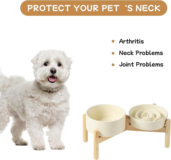 Havniva Ceramic 0.9 Cup Raised Slow Feeder Dog Bowl Set, Elevated 6.1inch Water Bowl and 6.1inch Slow Dish with Wooden Stand for Small Dogs (2 x Light Yellow+ Stand)
