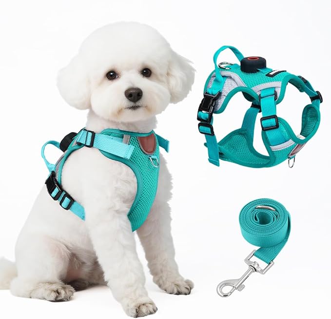 Large Cat Harness and Leash Set with Tracker Holder, Upgraded Escape Proof Vest for Extra Large Cats Small Dogs Puppy, Reflective Adjustable Breathable Mesh Walking Jacket, Green, XL