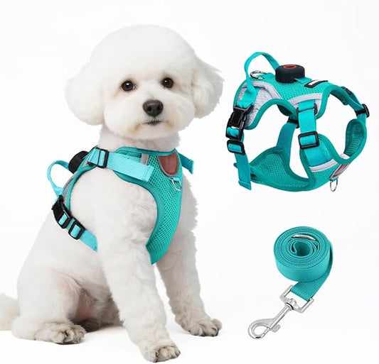 Large Cat Harness and Leash Set with Tracker Holder, Upgraded Escape Proof Vest for Extra Large Cats Small Dogs Puppy, Reflective Adjustable Breathable Mesh Walking Jacket, Green, XL