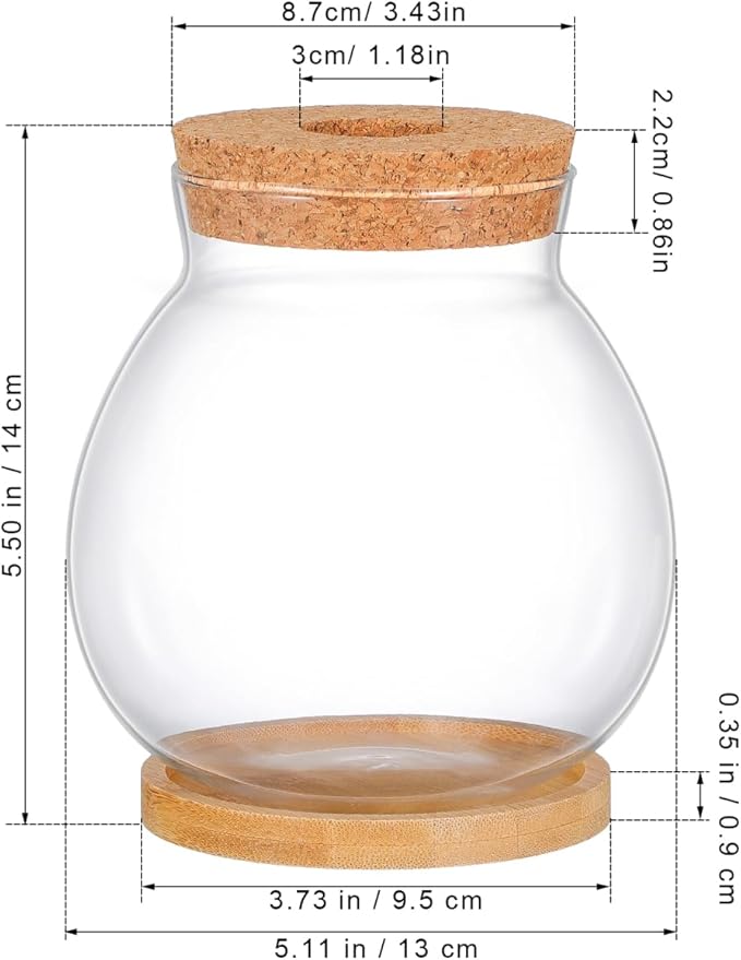 Glass Hydroponic Plant Vase with Cork Lid and Bamboo Base Small Clear Fish Bowl Desktop Terrarium Kit for Water Plants Lucky Bamboo Betta Fish Starter Pot for Home Office Decor 5x5.5 Inch