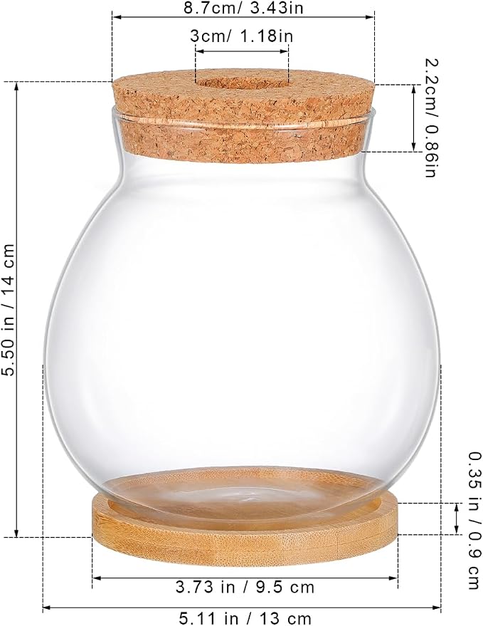 ibasenice Desktop Aquarium Fish Bowl Small Glass Betta Fish Tank with Bamboo Cushion Mini Aquarium for Hydroponic Plants Desktop Decor Office Home and Table Display