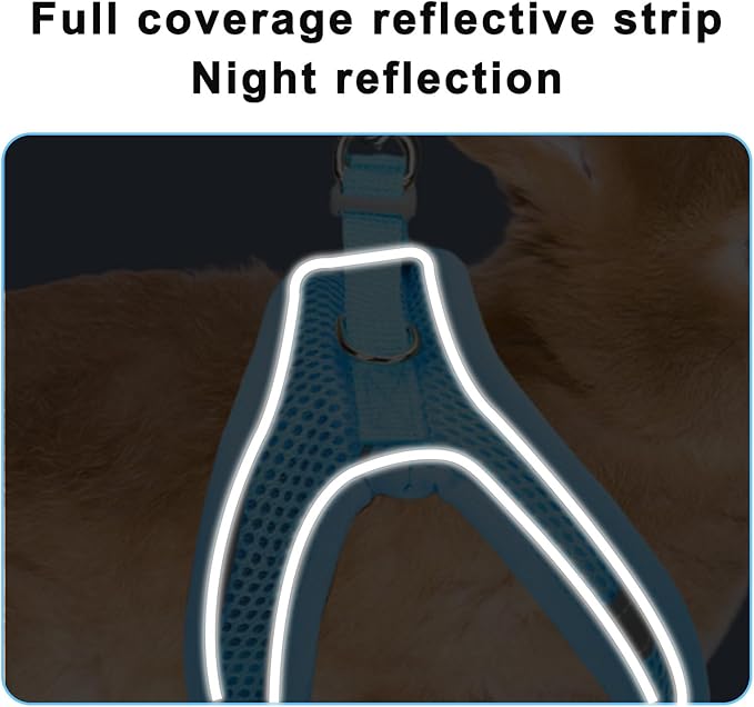 PETKNOWS 2 Pack Rabbit Harness and Leash Set, Double Buckle Bunnies Harness with Reflective Strips Soft Breathable Mesh Vest Harness for Rabbits Walks Accessories(Blue and Black)