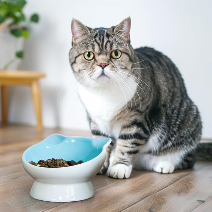 Raised Ceramic Cat Food Bowl - 15 Tilted, Spine Protection, Anti-Vomiting, Backflow Prevention for Adult Cats, Kittens, and Small Dogs (Blue Face)