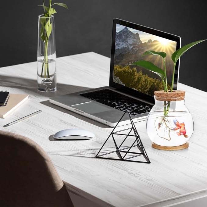 ibasenice Desktop Fish Bowl Glass Fish Tank with Wood Lid & Bamboo Base | Clear Glass Desktop Aquarium Hydroponic Plant Terrarium Bowl for Betta Fish Plants Terrarium Home Office Decoration