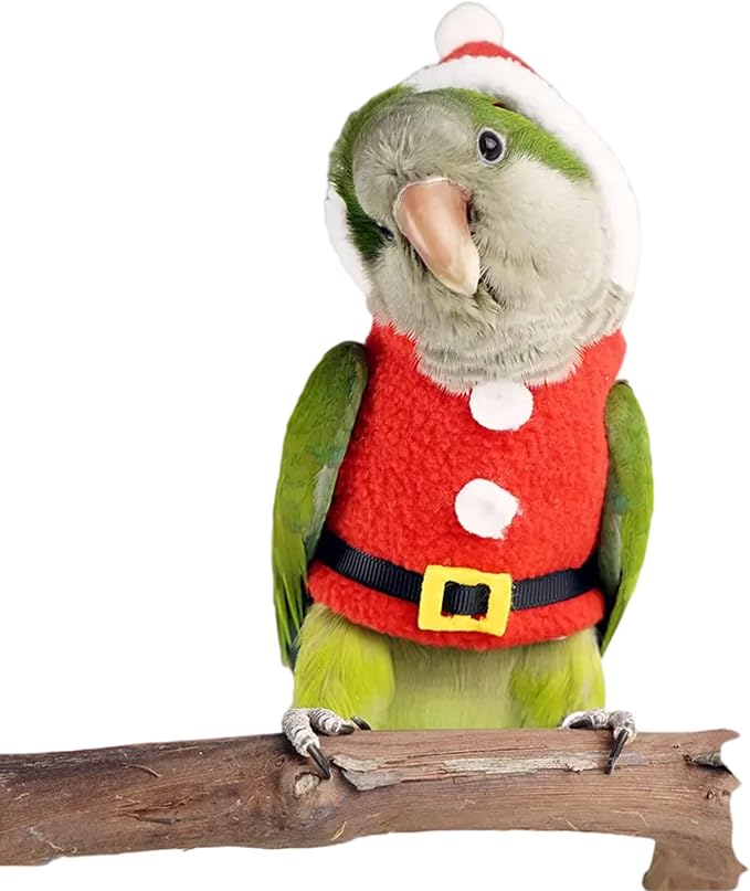 Bird Clothes Birds Flight Suit, Christmas Hoodie for Parrots Cockatiel Sun Conure Christmas Party Cosplay Photo Prop Bird Shirt Small Animals Apparel (with Diaper,Eclectus)