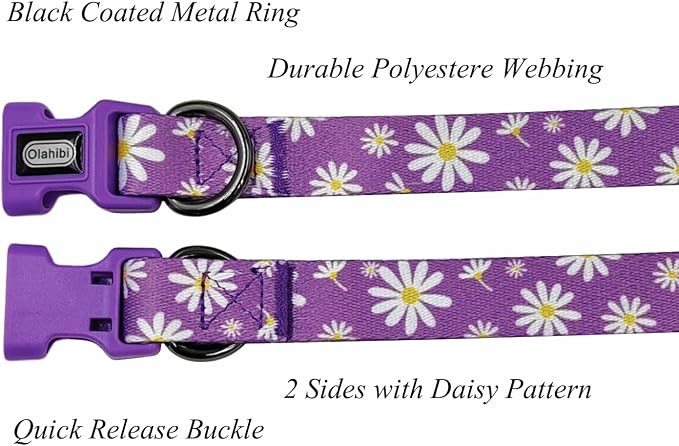 Dog Collar Leash Set, Floral Pattern, Polyester Material, Adjustable Collar and 5ft Matching Leash, for Puppy Dogs.(XS, Purple Daisy)
