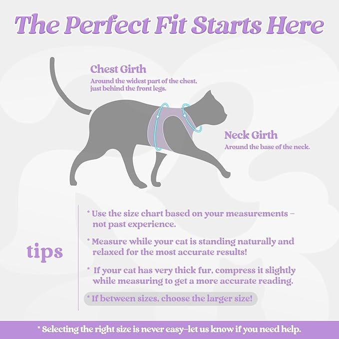 rabbitgoo Cat Harness and Leash Set for Walking Escape Proof, Adjustable Soft Kittens Vest with Reflective Strip for Cats, Comfortable Outdoor Vest, Black & Light Purple, L