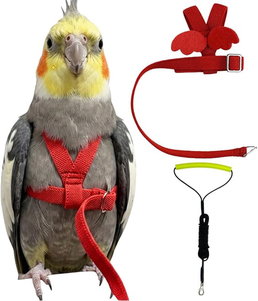 Adjustable Bird Harness with Elastic Leash, Pet Parrot Harness and Leash, Adjustable Training Design Anti-Bite, Bird Nylon Rope with Cute Wing for Conure (Red,2M)
