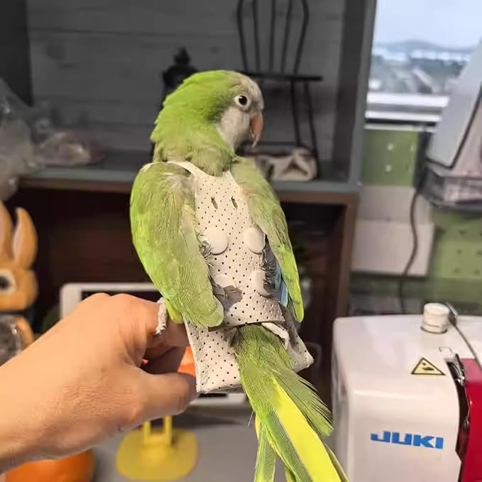 Premium Genuine Cowhide Bird Flight Harness Anti Bite Breathable Parrot Diaper Parrot Suit with Leash for Parakeet Conure Quaker Flying Clothes Rope and Handle (Without Leash,X-Large)