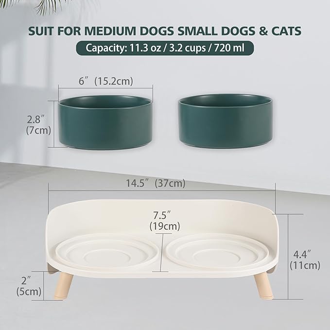 Elevated Ceramic Dog Bowl Set - Double Dog Feeding Bowls with Stand Splash Proof - Raised Dishes for Food and Water - Ideal for Small to Medium Dogs - 2 x 720 ml - 11.3 oz - Green