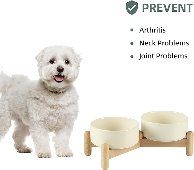 Havniva Ceramic 5.1inch Raised Double Bowls Set with Wooden Stand, Elevated Food & Water Bowls for Small Breed Dogs, Cats, Kitty, Weighted Dog Dishes, Pet Bowls(13.5oz, Light Yellow)