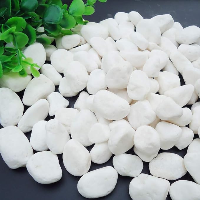 WAYBER White Decorative Gravel Stones for Aquarium & Bonsai Decor, 2 Pounds | Toxin-Free, Fade-Resistant, Ideal for Reiki Healing, DIY Crafts, Vase Filler, Aquarium & Bonsai Decoration