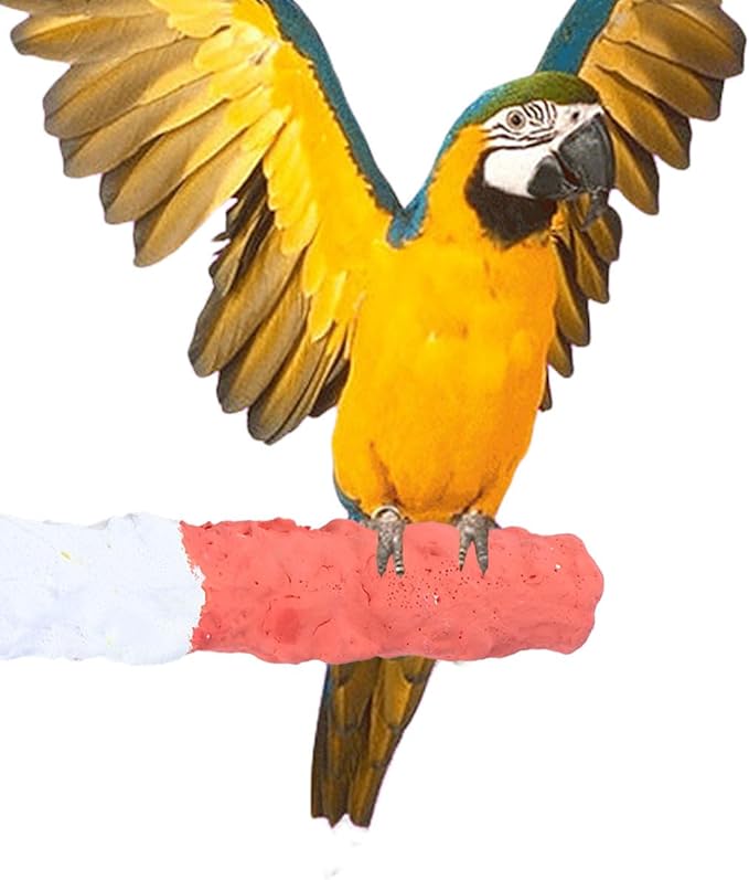 GALPADA High Calcium Cuttlebone Bird Perch for Parrots Natural Fruit Flavor 8-inch Standing Pole for PET Birds Essential Parrot Supplies and Accessories
