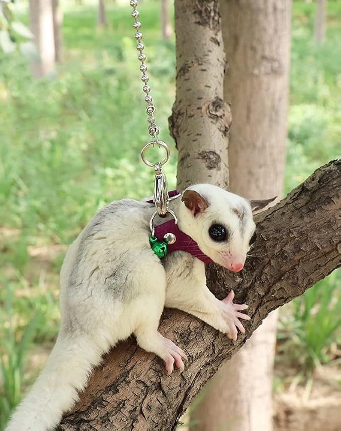 3 Pack Sugar Glider Harness and Leash Set - Adjustable Traction Rope Strap Anti-Biting Chain Rope, Small Animal Training Walking Vest Leash for Sugar Glider Squirrel Hamster Rat Birds Reptile (Purple)