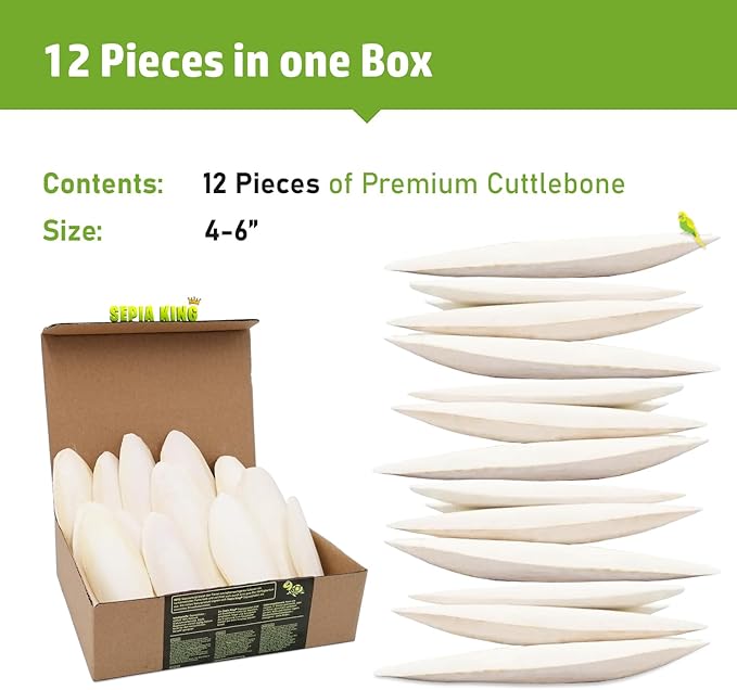Sepia King - Medium - 100% Natural Calcium Supplement - Premium Cuttlebone Perfect for Birds, Tortoises, Snails, Reptiles - 12 Pack