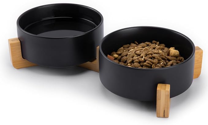 MateeyLife Ceramic Dog and Cat Bowls with Stand, 2-Pack Food and Water Bowl Set - Non-Slip Pet Bowls for Cats,Puppies and Small Dogs, 13.5OZ（Black）