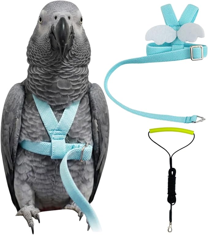 Adjustable Bird Harness with Elastic Leash, Pet Parrot Harness and Leash, Adjustable Training Design Anti-Bite, Bird Nylon Rope with Cute Wing for Conure (Lake Blue,XXL)