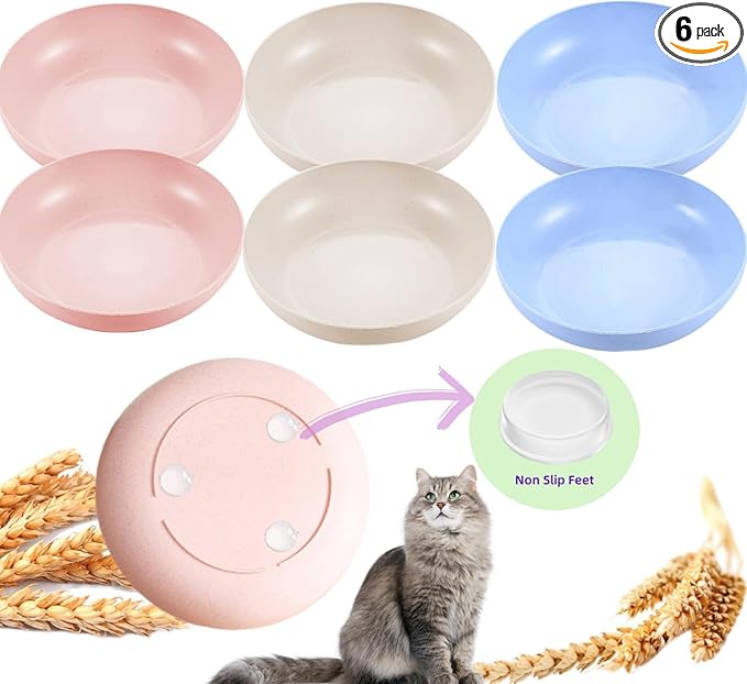 6-Pack Cat Food Bowl with Non-Slip Feet, Whisker Fatigue Cat Dishes for Food, Plastic Cats Bowls Set for Multi-Cats Homes, 5.5" Wide Shallow Relief Kitten Bowls BPA-Free, Dishwasher Safe