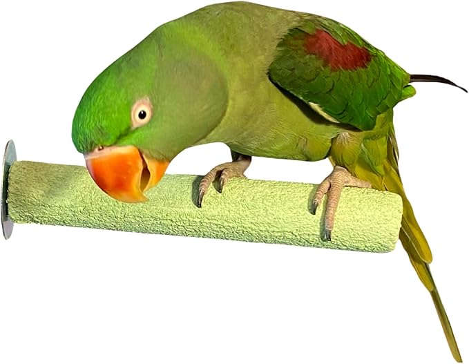Polly's Pastels Nail Trimming & Beak Conditioning Safety Perch for Cockatiels, Cockatoos, Macaws, Parakeets, Budgies, Parrots and All Other Birds (Green, Medium-1 1/4" Dia. x 8" Long)