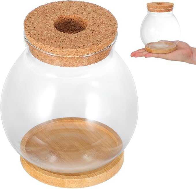 ibasenice Desktop Fish Bowl Glass Fish Tank with Wood Lid & Bamboo Base | Clear Glass Desktop Aquarium Hydroponic Plant Terrarium Bowl for Betta Fish Plants Terrarium Home Office Decoration