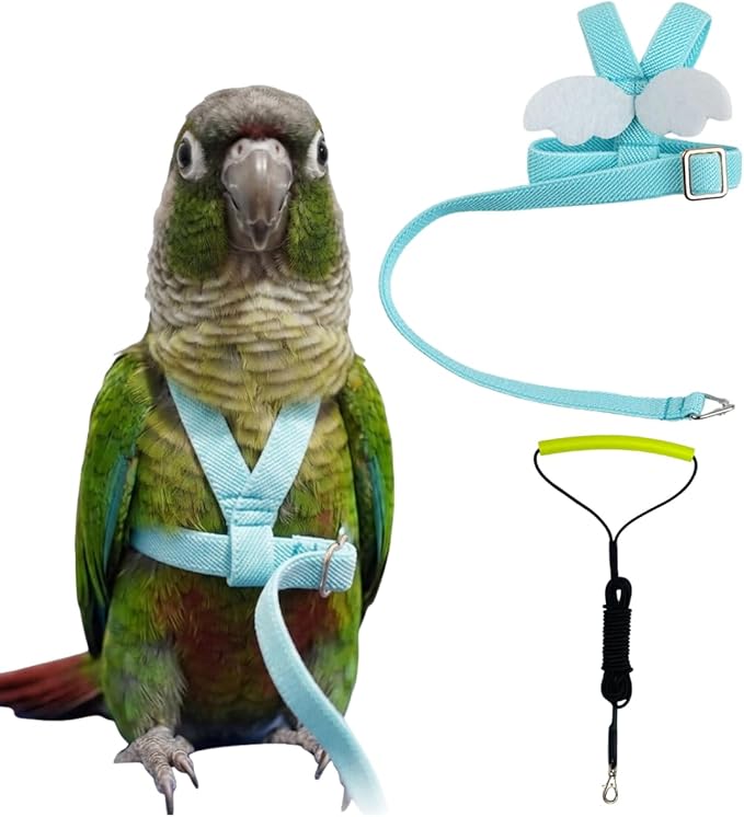 Adjustable Bird Harness with Elastic Leash, Pet Parrot Harness and Leash, Adjustable Training Design Anti-Bite, Bird Nylon Rope with Cute Wing for Conure (Lake Blue,M)