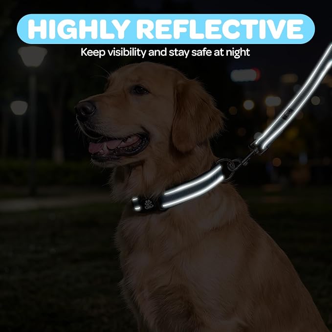 FURRYFECTION Reflective Dog Collar and Leash Set, Quick Release Buckle, Padded Neoprene, Adjustable Nylon for Small Medium Large Dogs (Large Collar+5FT Leash, Blue)