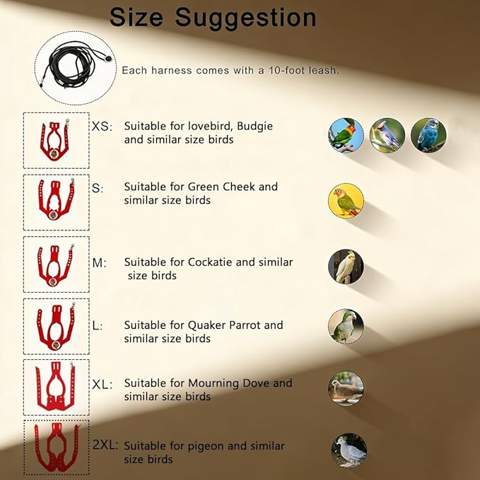 Adjustable Bird Harness & Leash Set for Small Birds,FitsBudgie,Parakeets, Conures, Cockatiels,Green Cheek,Quaker Parrots(Red, S) Z6350-2