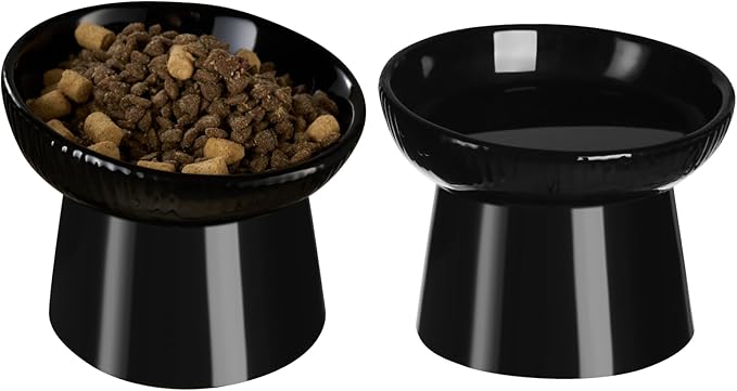 Ceramic Elevated Cat Bowls-Water Bowl, 15° Tilted Design, Anti-Vomiting & Spine Protection, Prevent Whisker Fatigue for Kittens to Adult Cats and Small Dogs (Black-15° Cat Bowls-2)