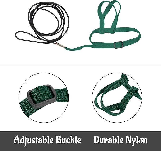 2 pcs Pet Parrot Bird Harness and Leash, Adjustable Training Design Anti-Bite, Outdoor Flying Training Rope Kit for Bird Parrots Fits Birds Chest Between46-76cm /18.11-29.92inch - XL (Green)
