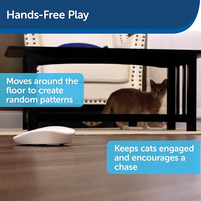 PetSafe Laser Tail Automatic Laser Light - Interactive Cat Toy - Encourages Exercise - Self-Propelling Motion Toy - Battery Operated - Safe for Cats - Hands Free Play