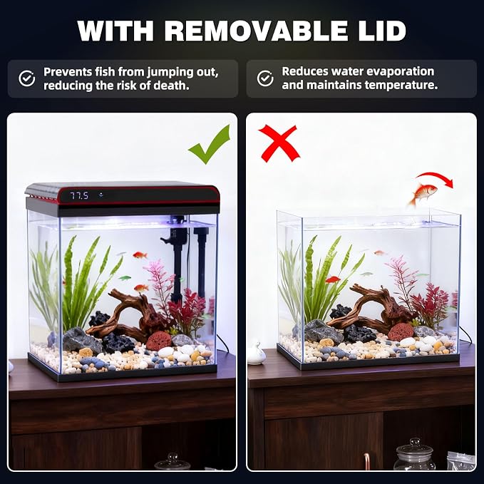 Coospider 5 Gallon Glass Fish Tank, Aquarium Starter Kit, Aquarium Kit with Quiet Filter Pump, 3-Color LED Lights, Simpel Self-Cleaning, Temp Monitoring for Fish, Shrimp, Family Kids Gift Ideas