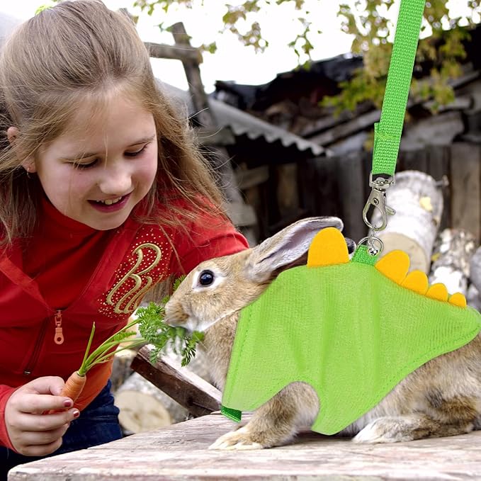 Ferret Harness and Leash Set, Dinosaur Shaped Small Animals Vest Bunny Harness Outdoor Walking Clothes Accessories for Ferret Rabbit Hamster Guinea Pig Kitten Puppy Tiny Pet