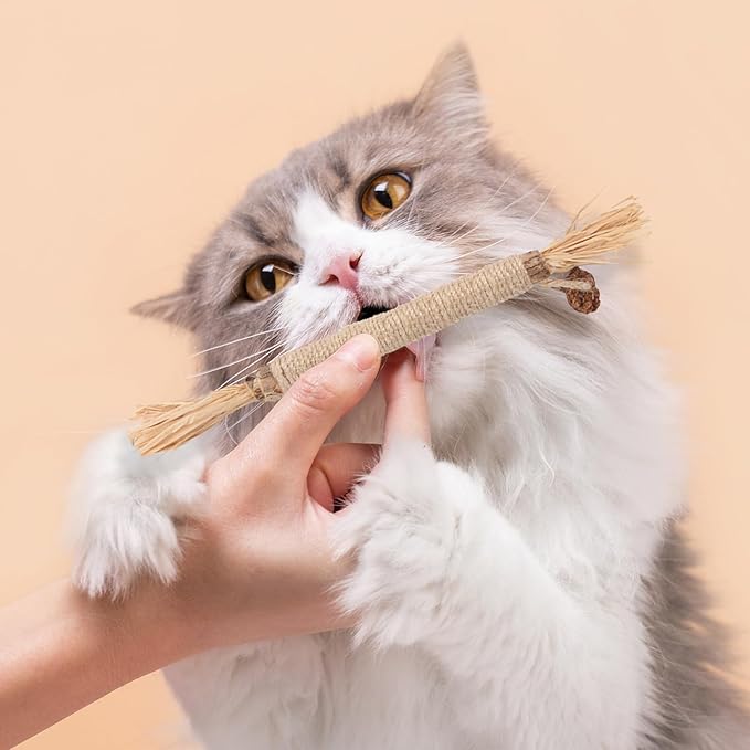 6 Pack Silvervine Sticks for Cats Chewers, Natural Cat Chew Stick, Interactive Kitten Chew Playthings, Silver Vine Chew Sticks for Indoor Kitty Nip Teeth Cleaning Dental Care Biting (6)
