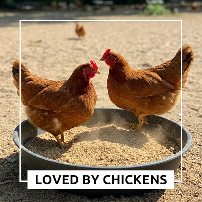 World’s Best Chicken Dust Bath – Natural Wood Ash, Sand & Fine Dust Blend – Safe for All Chickens (2 Pounds)