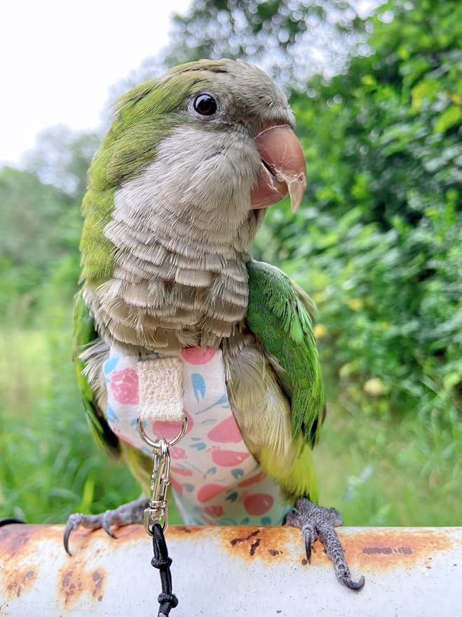 Bird Diaper Harness Flight Suit Clothes, Parrot Flight Suit with Leash, Bird Flying Clothes with Rope and Handle for Outdoor Activities Training (Pink Without Leash,Small)