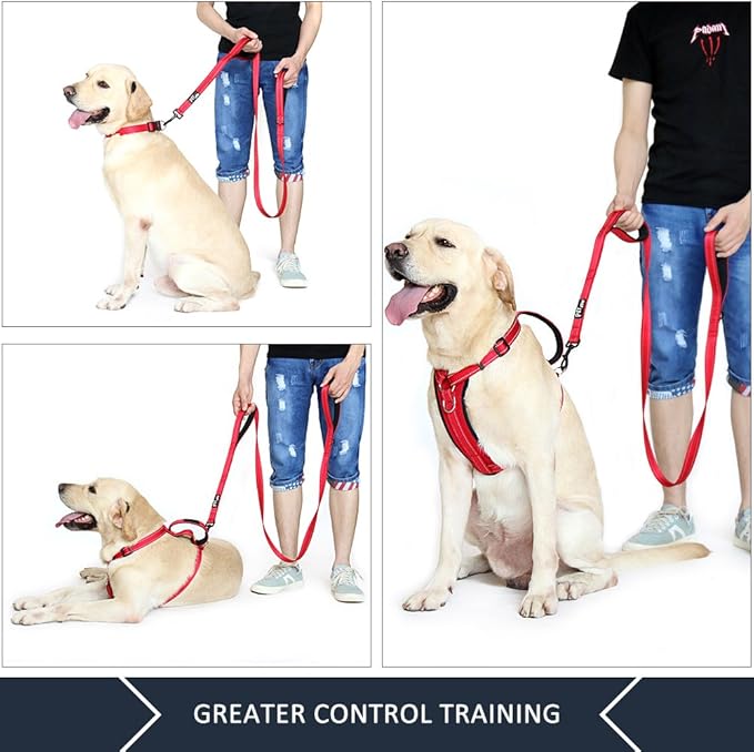 Plutus Pet Double Handle Dog Leash 4ft, Heavy Duty, Reflective Dual Handle Dog Leash for Safety Training, for Medium Large Dogs,2 Handle Leads(Red)