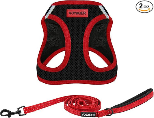 Best Pet Supplies Voyager Step-in Air All Weather Mesh Harness and Reflective Dog 5ft Leash Combo with Neoprene Handle, for Small, Medium and Large Breed Puppies - Set (Red Trim), X-Small