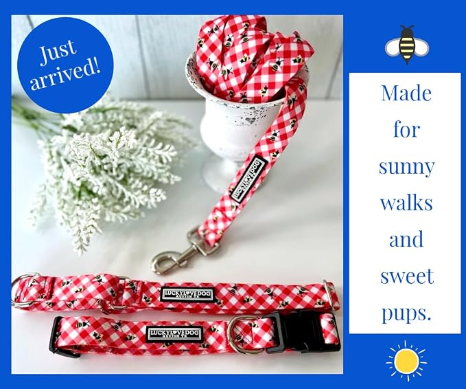 Lucky Love Dog - Easy Click Buckle Dog Collar with Leash Set Combo, Durable & Comfortable for Male & Female Dogs, Pet Collar for Large Dogs, Secure Fit - Bailey Combo, Large