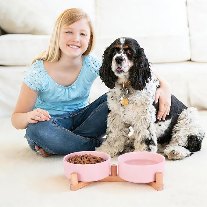 Ceramic Dog Bowls for Small Size Dogs, Cat Food and Water Bowl Set with 15° Adjustable Wood Stand, Raised Non-Slip Pet Bowls, Dual Feeder for Cats & Small Dogs, Matte Glaze 13.5oz Set of 2(Soft Pink)