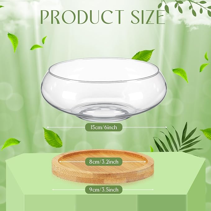 Baderke 2 Sets Glass Planter Bowls for Flowers with Tray 6'' Round Glass Vase Bowl Hydroponic Lotus Planter Pot Propagation Vases Fish Bowl for Plants Indoor Windowsill Kitchen Desktop Wedding Decor