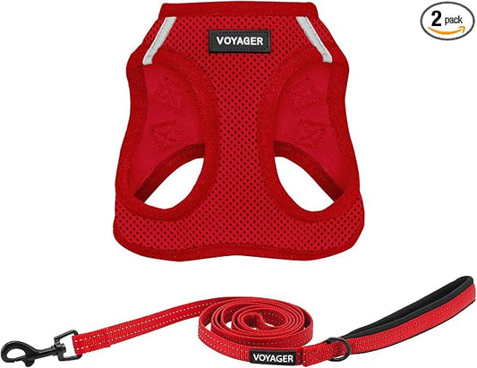 Best Pet Supplies Voyager Step-in Air All Weather Mesh Harness and Reflective Dog 5ft Leash Combo with Neoprene Handle, for Small, Medium and Large Breed Puppies - Set (Red), Large