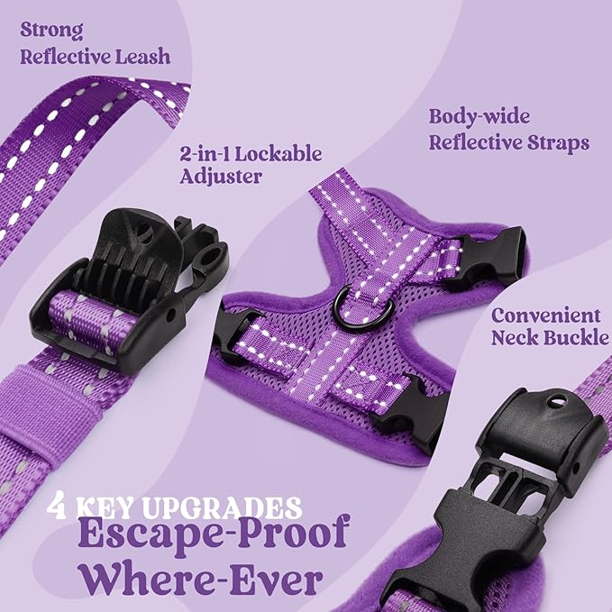rabbitgoo Cat Harness and Leash, Escape Proof Vest with 3 Adjustable Buckles, Soft Comfortable Kitten Harness, Easy to Wear, Reflective for Safe Outdoor Walking, XS, Purple