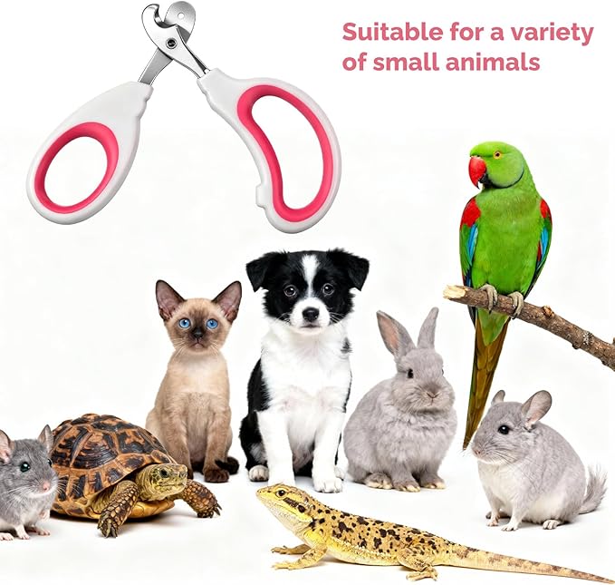 Small Animal Nail Clippers, Stainless Steel Bearded Dragon Nail Clippers, Professional Reptile Grooming Tool with Precise Angled Edge, Cat Nail-Clipper, Claw Trimmer for Birds, Cat, Dogs (Red)