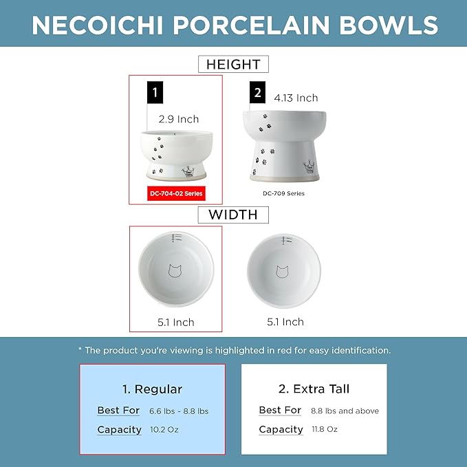 Necoichi Elevated Cat Water Bowl – Ceramic Raised Cat Bowl, Prevents Neck & Whisker Fatigue – Dishwasher & Microwave Safe – Pet Water Bowl for Cats (Cat, Regular)