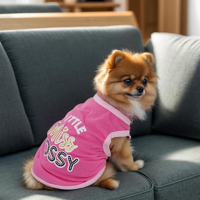 Pistha 4 Pack Dog Shirts Summer Printed Puppy Clothes Cute Sleeveless Pet T Shirts Dog Clothes for Small Medium Dogs Cats Girl(XS)
