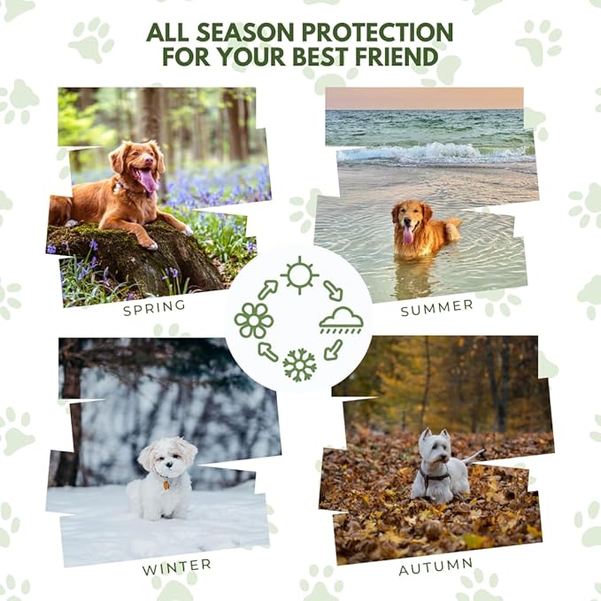 Lick Safe Dog Paw Balm - Softens, Heals, Soothes & Protects Dogs Paws, Noses & Skin. All Natural, Organic Ingredients. Lick-Safe Protection for Dogs with Beeswax (2 fl.oz - Standard Tin)