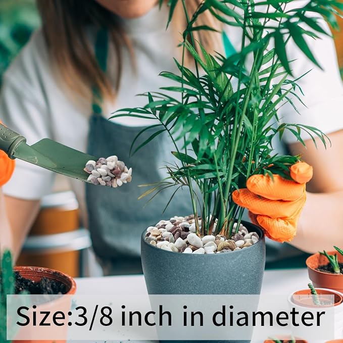 FANTIAN 5 lbs Natural Mixed Color Gravel Pebbles, 3/8 Inch Decorative Succulent Rocks Pebbles for Plants, Stones for Vase, Landscaping and Outdoor Garden Decorative River Rock