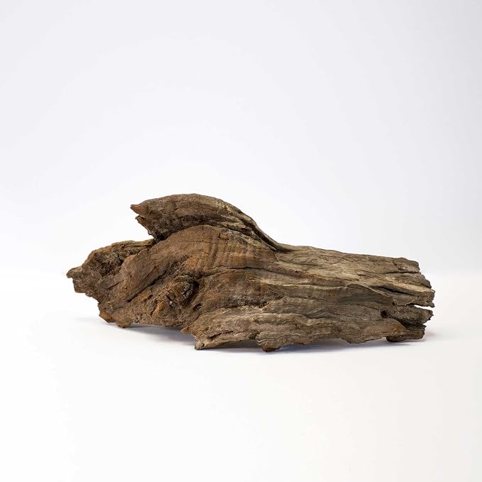 Galápagos (05285) Sinkable Driftwood Bed, Natural, Medium/11-13"