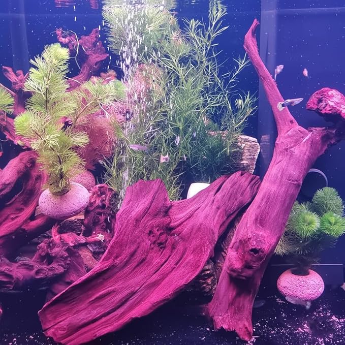 emours Aquarium Driftwood Fish Tank Decoration (XLarge(11 to 14 inches in Length))